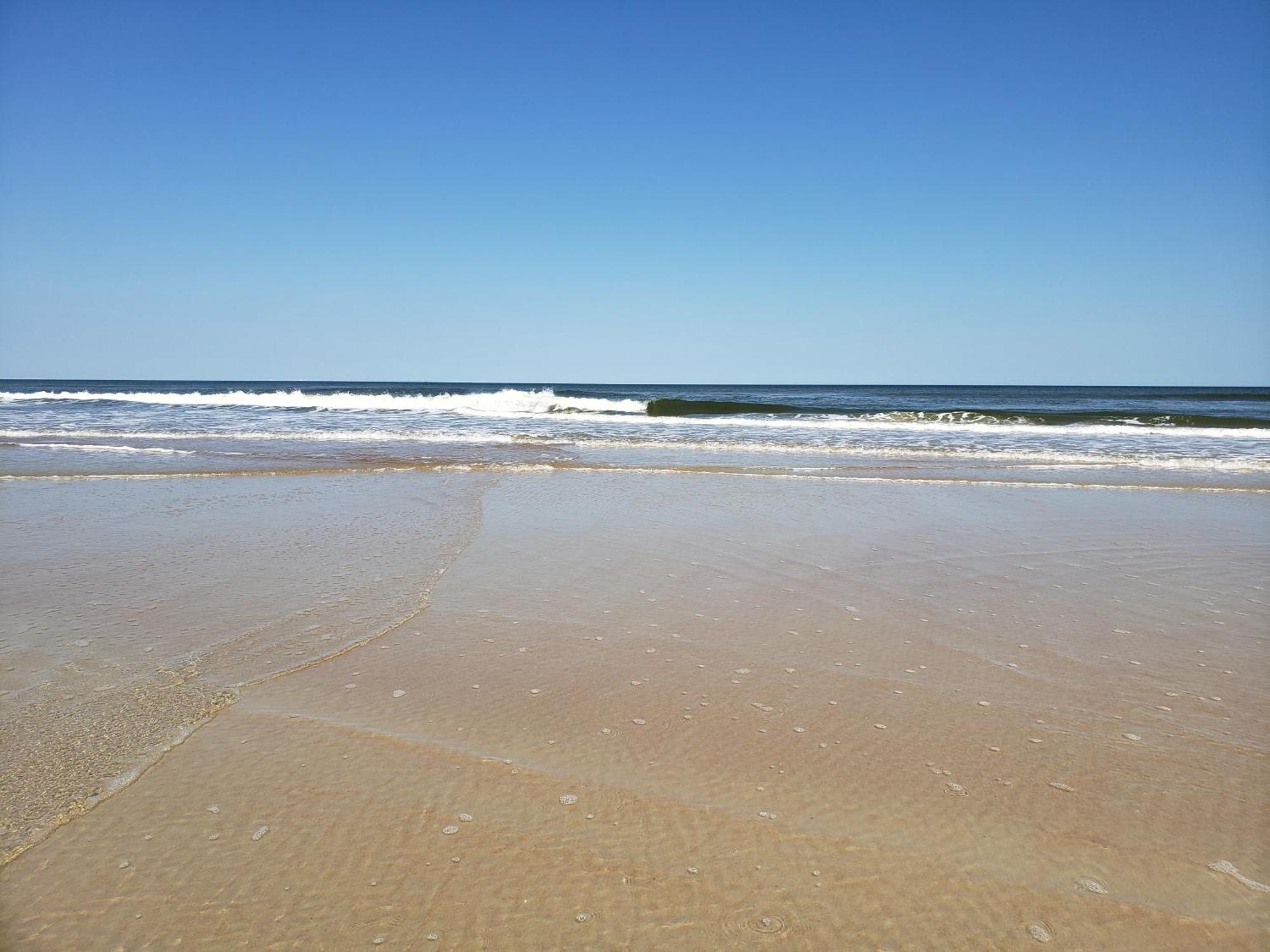 Beachside Bliss Ocean Views & Endless Fun Daytona Beach! Ngoại thất bức ảnh